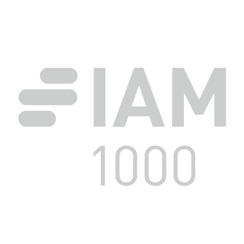 Reconocimiento IAM Patent 1000 a Elzaburu